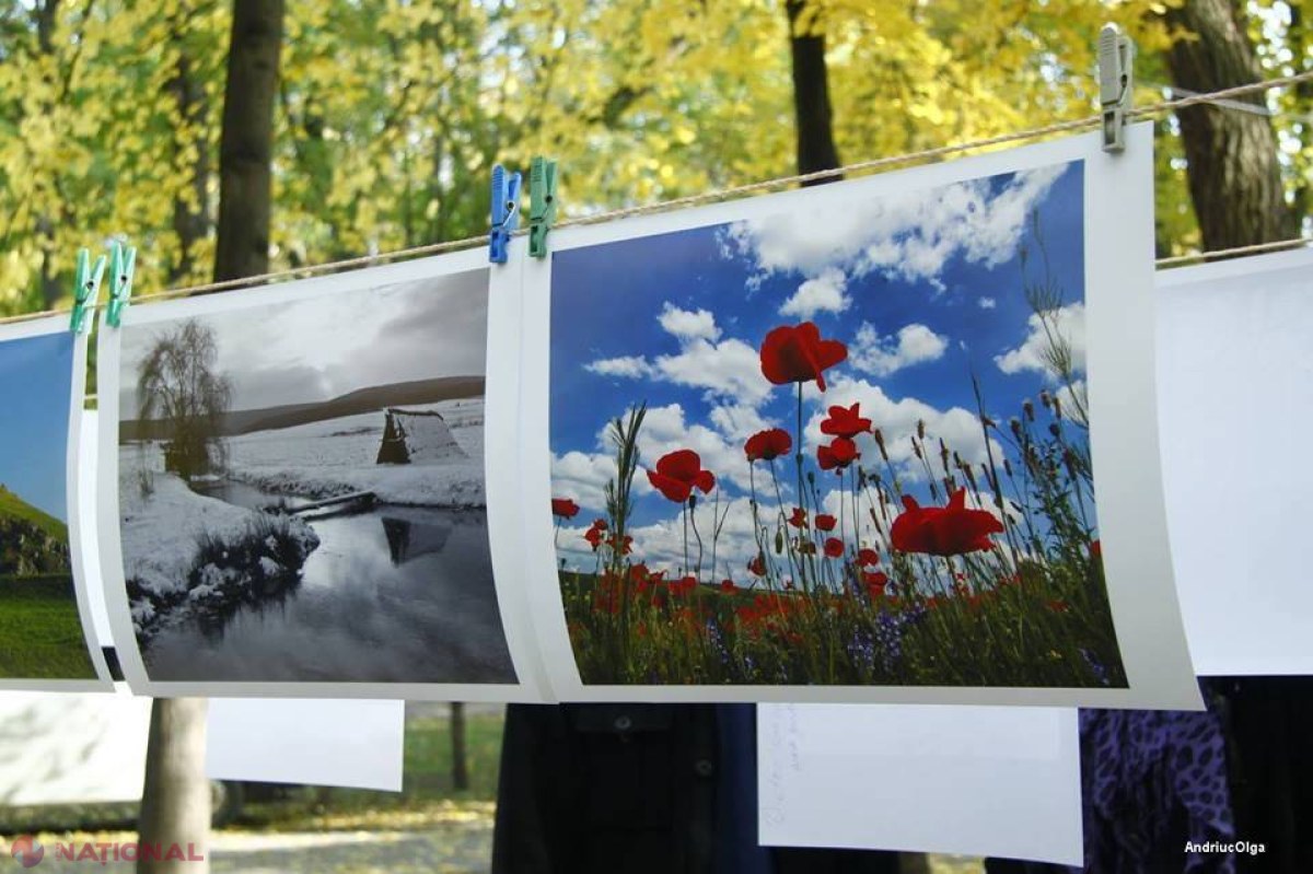 INEDIT // Expoziție de fotografii pe sfori
