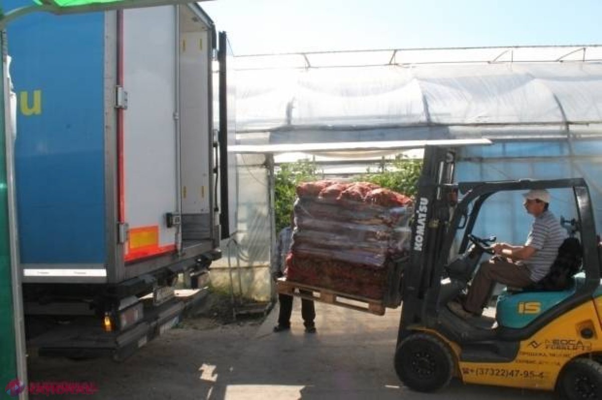 Costuri REDUSE: Mărfurile din R. Moldova vor fi EXPORTATE mai ușor pe piața EUROPEANĂ