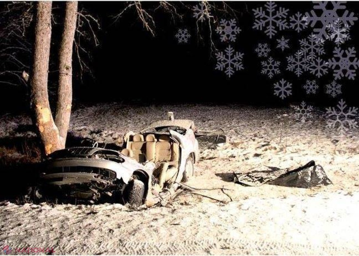 DE GROAZĂ // Ce cărţi poştale au primit şoferii din Estonia în acest an
