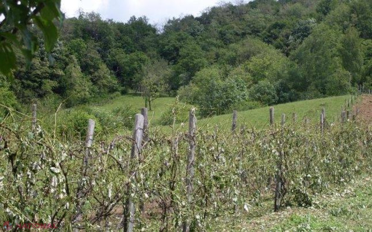 Ploile cu grindină au lovit din nou