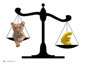 EURO, în plină ASCENSIUNE față de moneda națională 