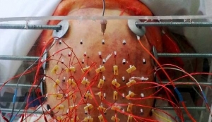 Studiul unor cercetătări pe un CAVADRU demonstrează în ce PERICOL suntem cu toţii