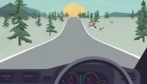 TEST // Ce vârstă ai la volan? Jocul care-ţi spune asta