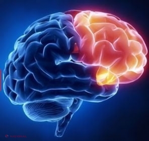 Activitățile care fac minuni pentru creierul nostru! Șase metode simple de a-i accelera productivitatea