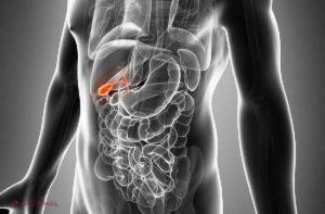 Semnele care te anunţă că ai PROBLEME cu fierea