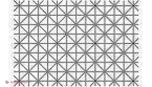 O nouă iluzie optică, VIRALĂ. Tu poți vedea 12 puncte negre în această imagine?