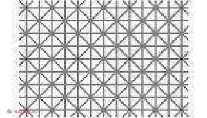 O nouă iluzie optică, VIRALĂ. Tu poți vedea 12 puncte negre în această imagine?