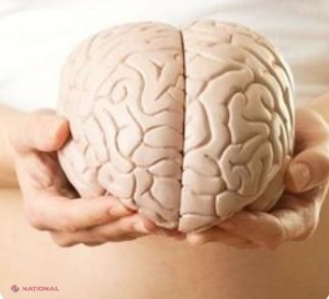 „Combustibilul” premium pentru creier! Cele mai benefice alimente pentru acest organ vital
