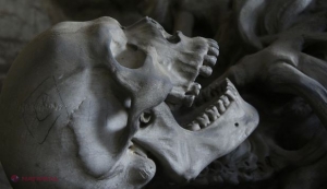 O DESCOPERIRE uriaşă realizată în Israel rescrie istoria evoluţiei omului. „Tot ce am ştiut până acum s-a dovedit a fi FALS”