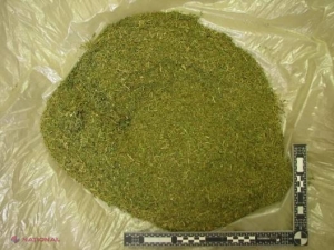 Un tânăr din Drochia PĂSTRA „pentru consum propriu” KILOGRAME de DROGURI