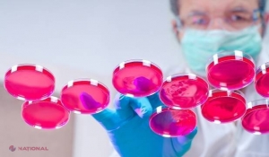 Oamenii de știință au descoperit cum pot scăpa omenirea de CANCER pancreatic  