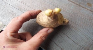 Iată de ce trebuie să bei ceai de GHIMBIR în fiecare zi şi modul cel mai corect de preparare!