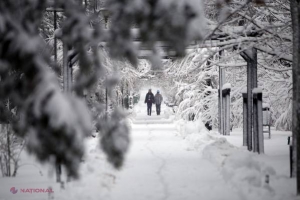 Care a fost cel mai mare fulg de nea? ZECE lucruri pe care NU le știai despre ZĂPADĂ