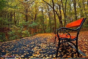 Săptămâna începe cu vreme frumoasă, în weekend însă se răcește