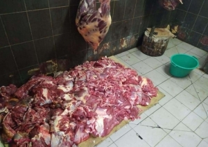 Un bărbat din Fălești și-a deschis un abator CLANDESTIN, unde sacrifica bovine în condiții antisanitare
