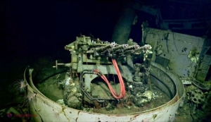 Descoperire INCREDIBILĂ făcută de un scafandru în Pacificul de Sud, la o adâncime de peste 5.000 de metri