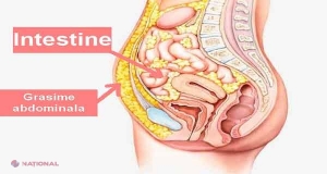 TOP alimente rele pentru siluetă