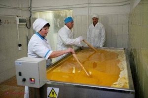 Europa, mai dulce cu miere moldovenească 