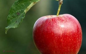 Foto // Imaginea ASTA face SENZAȚIE pe internet! Trebuie să o vezi