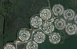INCREDIBIL // Ce au văzut oamenii pe Google Maps. Au rămas MUŢI de uimire 