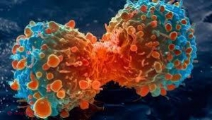 Cercetătorii ar fi găsit accidental LEACUL pentru cancer