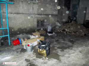 Culmea hoției: au furat alimentele unor studenți