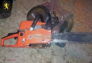 „Afacere” de familie: Mama și fiii, în tandem la furat
