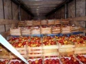 Rușii RETURNEAZĂ încă 19 tone de mere moldovenești