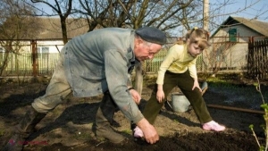Un țăran își săpa grădina, dar când a văzut peste ce a dat a început să strige de fericire: Am fost sărac toată ...