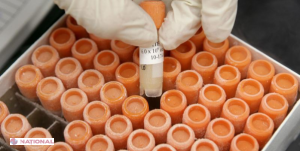 Celule stem, prelevate ilegal în R. Moldova și exportate în România