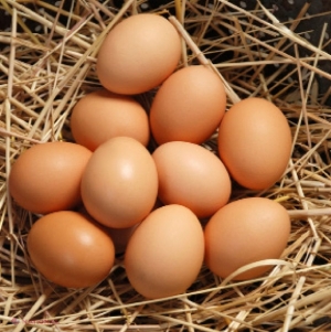 Ce infecții ar putea trata ouăle de găină! Pot ține locul antibioticelor