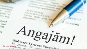 Mii de locuri de muncă vacante! Care sunt raioanele de top și ce specialiști se caută