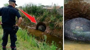 VIDEO // Au descoperit într-un mal de pământ un obiect extrem de CIUDAT…