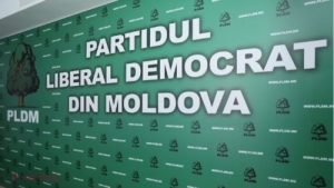 PLDM îndeamnă toți actorii politici „să acționeze calm și să respecte principiile statului de drept”