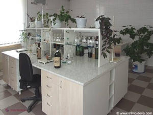 Rușii vin mâine să inspecteze laboratoarele de certificare a vinului