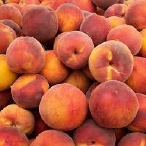 INTERVIU // Piersicile – fructele longevităţii