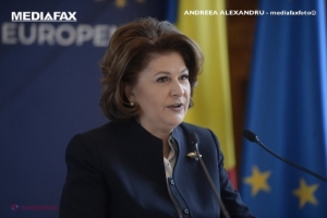 Rovana Plumb, RESPINSĂ de PE pentru funcţia de comisar european pe Transporturi pentru discrepanţele dintre declaraţiile de avere