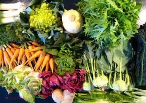 Sfatul nutriționistului // Anul Nou cu reguli noi in alimentație