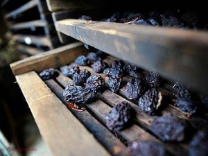 Europenii, principalii consumatori de fructe uscate moldovenești