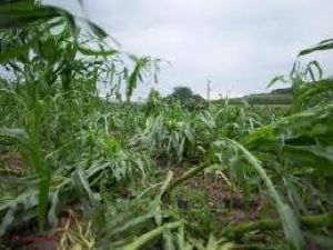 Ploaia de ieri a făcut ravagii în nordul republicii
