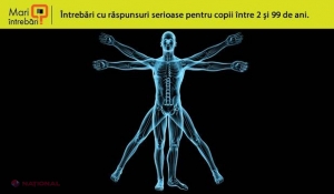 De ce au oamenii două mâini şi două picioare?
