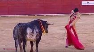 VIDEO // Un toreador spaniol a fost ucis de taur la coridă, o PREMIERĂ în ultimii 30 de ani
