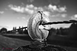 Gard la graniţa dintre România şi Ungaria? În ce condiţii s-ar putea construi 