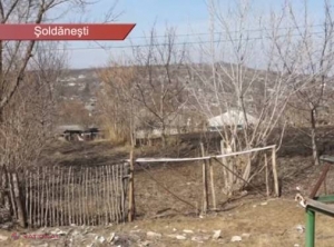 Șoldănești // VIOLAT pentru 50 de lei