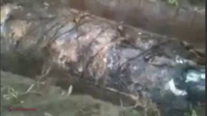 VIDEO // Descoperire MACABRĂ. Au dezgropat un mort după 15 ani şi au rămas FĂRĂ CUVINTE