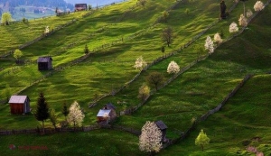 Un oraș din România este în topul celor mai FRUMOASE orășele din Europa