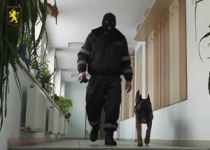 Alertă FALSĂ cu bombă la centrul de plasament al străinilor din capitală