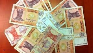 Angajata unei bănci a furat peste jumătate de milion de lei și a fugit în Austria