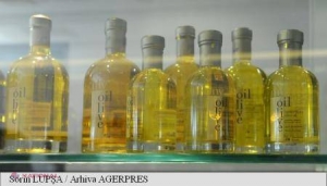 Uleiul de MĂSLINE a devenit un produs de lux în EUROPA