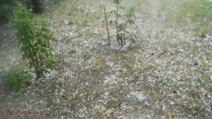 Ieri-seară, grindina a făcut ravagii în sudul țării